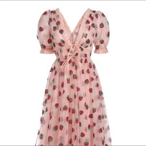 NWT Lirika Matoshi Strawberry Dress